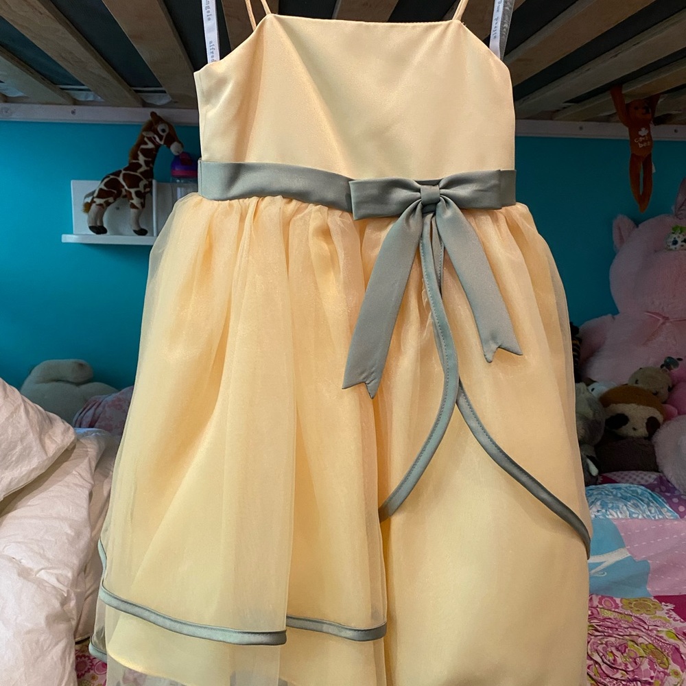 BNWT Fancy Toddler Girl size 4T by Alfred Angelo